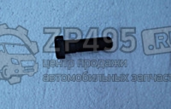 : 6501404 0014649     /   31105 . (, ,,,,, , NEXT, NEXT) ulyanovsk.zp495.ru